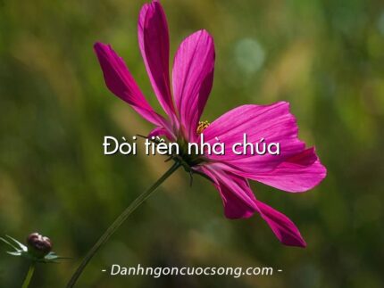 Đòi tiền nhà chúa