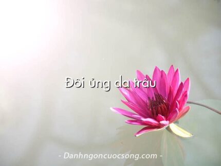 Đôi ủng da trâu