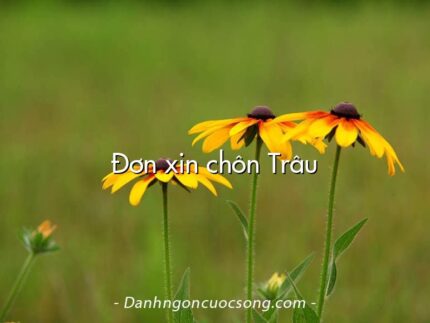 Đơn xin chôn Trâu