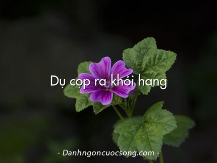 Dụ cọp ra khỏi hang