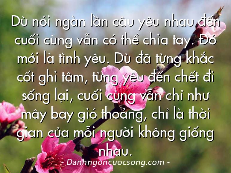 Dù nói ngàn lần câu yêu nhau đến cuối cùng vẫn có thể chia tay. Đó mới là tình yêu. Dù đã từng khắc cốt ghi tâm, từng yêu đến chết đi sống lại, cuối cùng vẫn chỉ như mây bay gió thoảng, chỉ là thời gian của mỗi người không giống nhau.