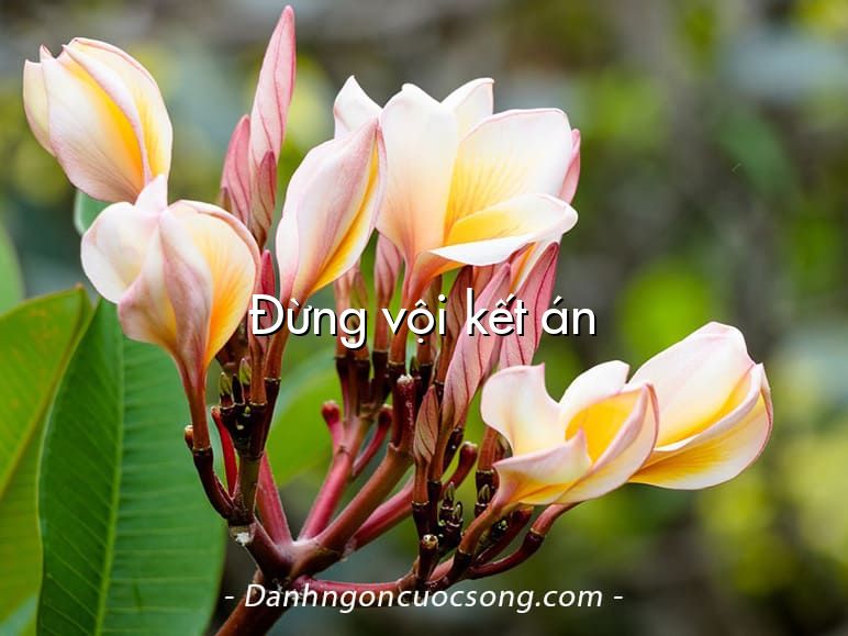 Đừng vội kết án