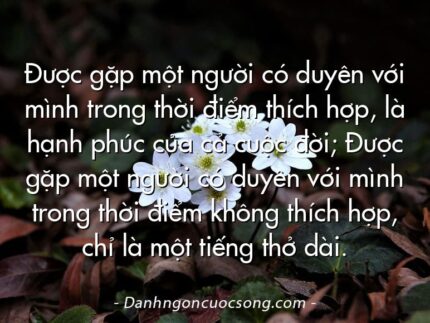 Được gặp một người có duyên với mình trong thời điểm thích hợp, là hạnh phúc của cả cuộc đời; Được gặp một người có duyên với mình trong thời điểm không thích hợp, chỉ là một tiếng thở dài.