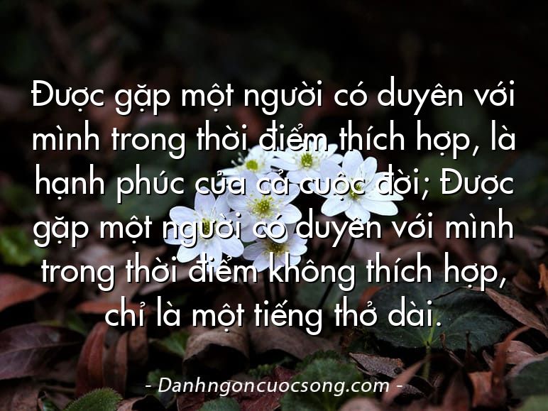 Được gặp một người có duyên với mình trong thời điểm thích hợp, là hạnh phúc của cả cuộc đời; Được gặp một người có duyên với mình trong thời điểm không thích hợp, chỉ là một tiếng thở dài.