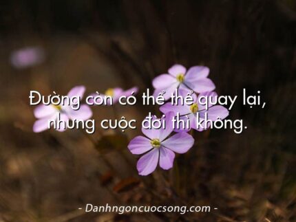 Đường còn có thể thể quay lại, nhưng cuộc đời thì không.