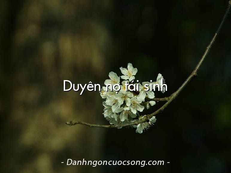 Duyên nợ tái sinh