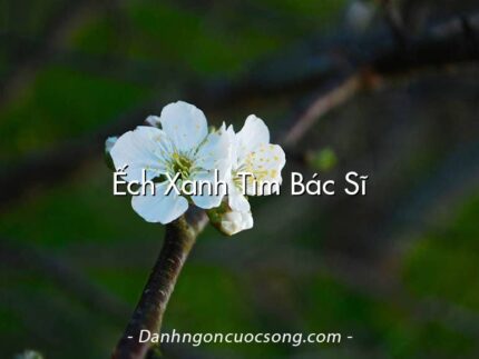 Ếch Xanh Tìm Bác Sĩ