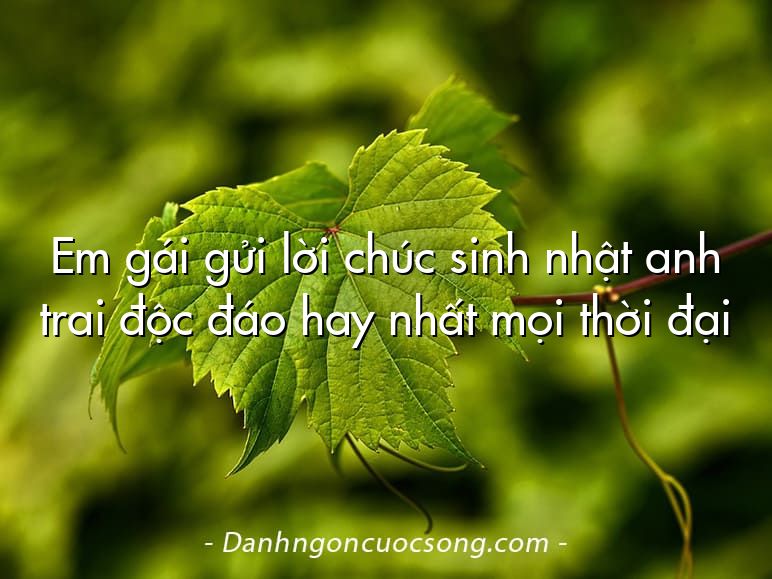 Em gái gửi lời chúc sinh nhật anh trai độc đáo hay nhất mọi thời đại