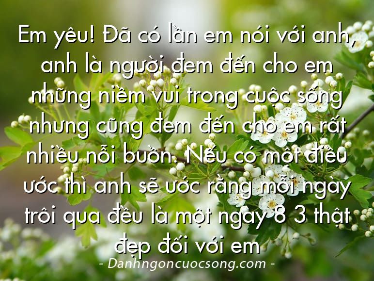Em yêu! Đã có lần em nói với anh, anh là người đem đến cho em những niềm vui trong cuộc sống nhưng cũng đem đến cho em rất nhiều nỗi buồn. Nếu có một điều ước thì anh sẽ ước rằng mỗi ngày trôi qua đều là một ngày 8 3 thật đẹp đối với em