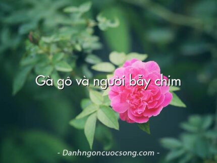 Gà gô và người bẫy chim
