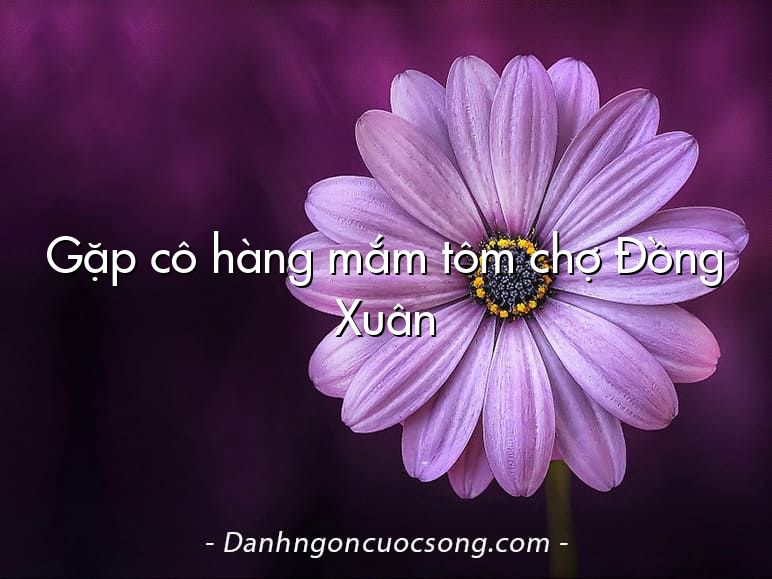 Gặp cô hàng mắm tôm chợ Đồng Xuân