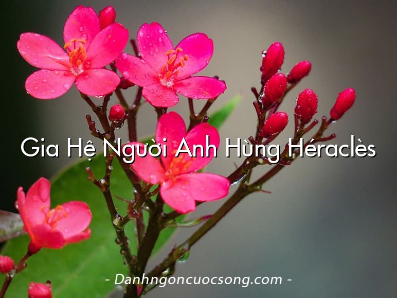 Gia Hệ Người Anh Hùng Héraclès