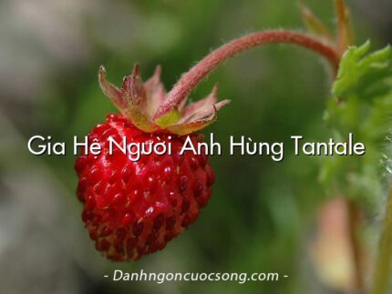 Gia Hệ Người Anh Hùng Tantale