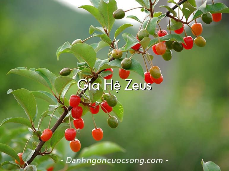 Gia Hệ Zeus