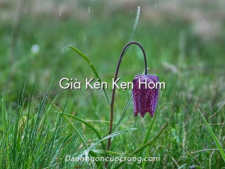 Già Kén Kẹn Hom