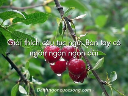 Giải thích câu tục ngữ: Bàn tay có ngón ngắn ngón dài