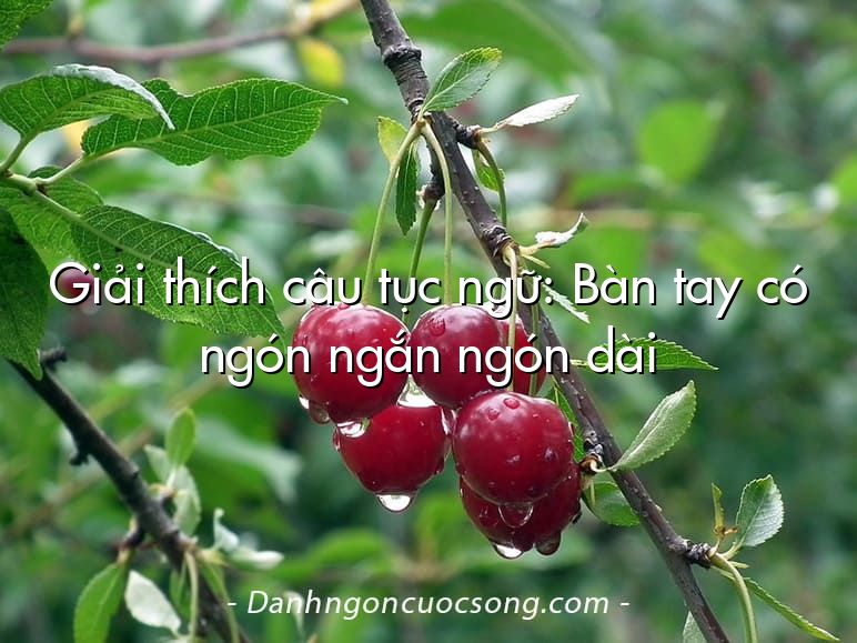 Giải thích câu tục ngữ: Bàn tay có ngón ngắn ngón dài