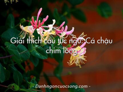 Giải thích câu tục ngữ: Cá chậu chim lồng