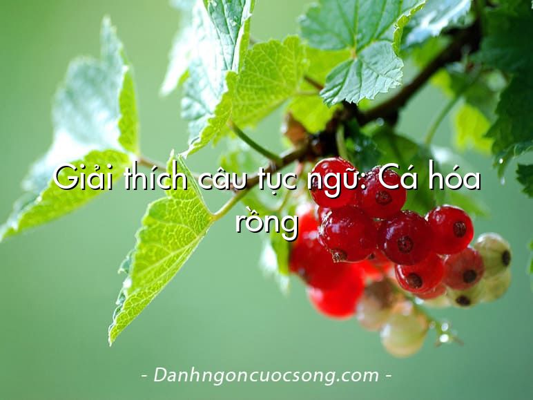 Giải thích câu tục ngữ: Cá hóa rồng
