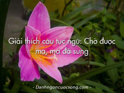 Giải thích câu tục ngữ: Chờ được mạ, má đã sưng