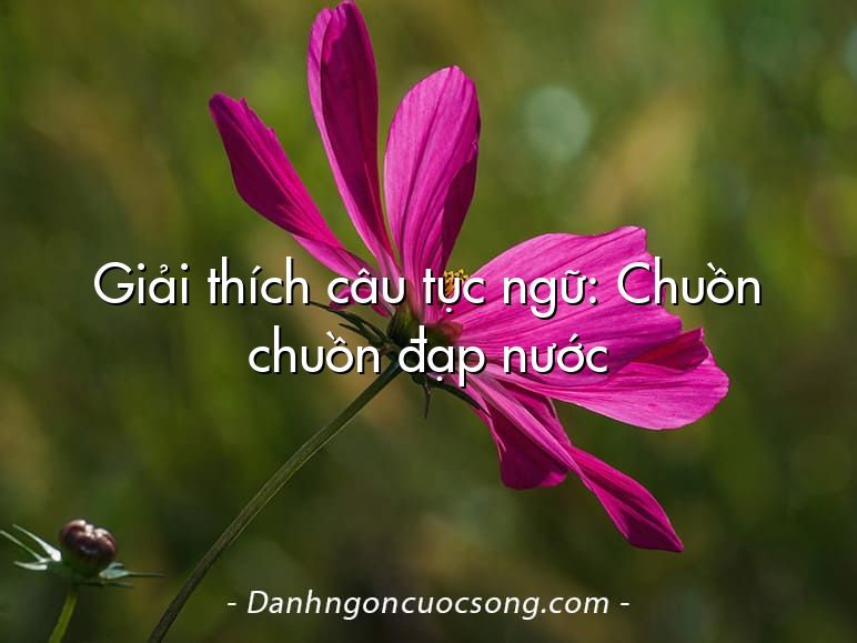 Giải thích câu tục ngữ: Chuồn chuồn đạp nước