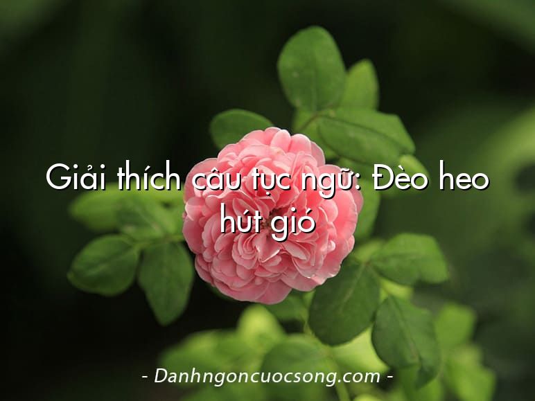 Giải thích câu tục ngữ: Đèo heo hút gió