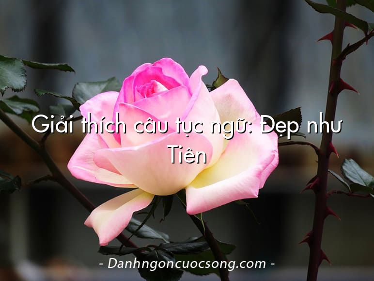 Giải thích câu tục ngữ: Đẹp như Tiên