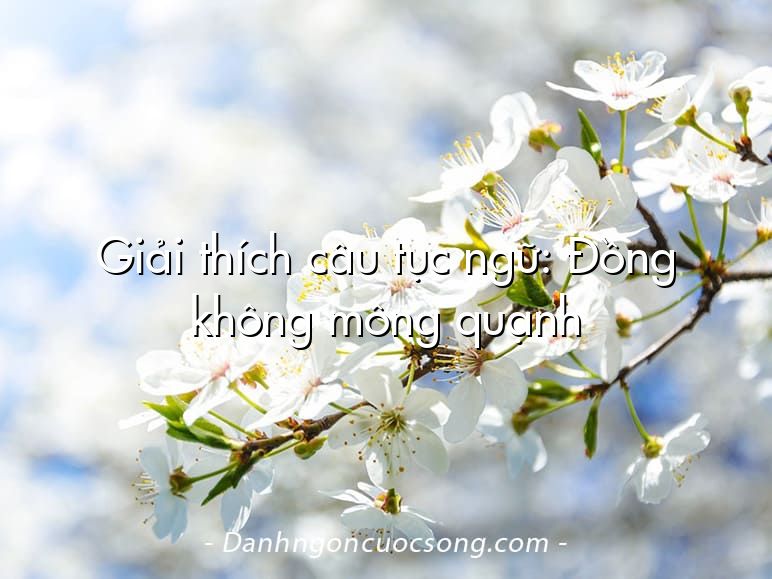 Giải thích câu tục ngữ: Đồng không mông quạnh