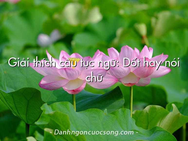 Giải thích câu tục ngữ: Dốt hay nói chữ