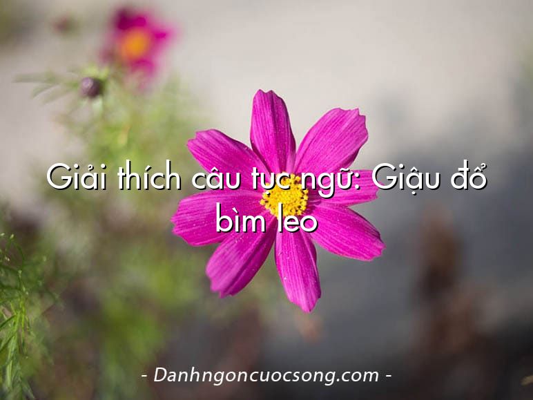 Giải thích câu tục ngữ: Giậu đổ bìm leo