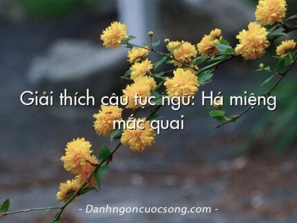 Giải thích câu tục ngữ: Há miệng mắc quai