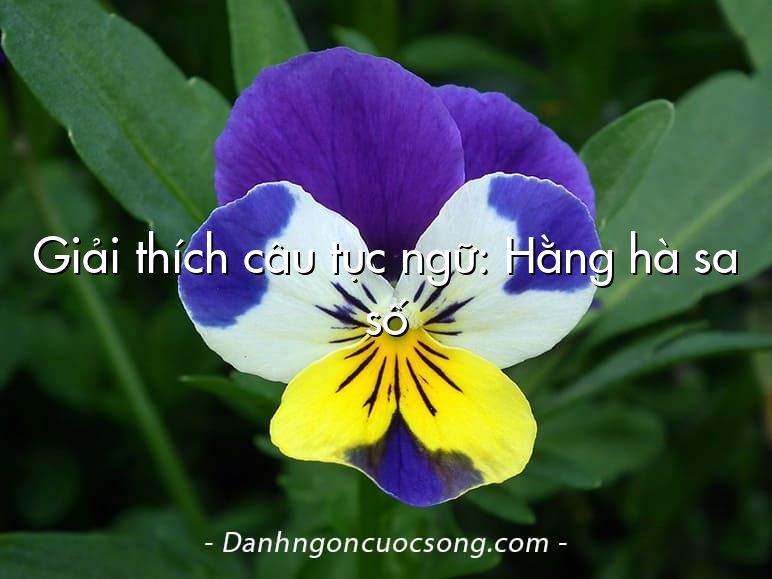 Giải thích câu tục ngữ: Hằng hà sa số