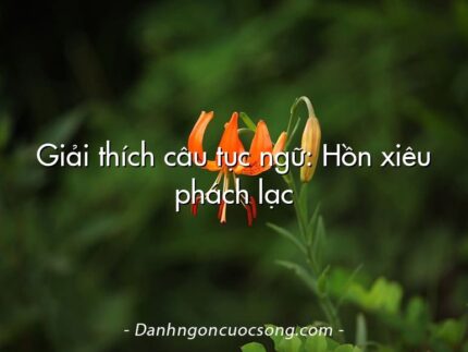 Giải thích câu tục ngữ: Hồn xiêu phách lạc
