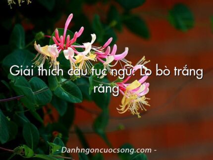 Giải thích câu tục ngữ: Lo bò trắng răng
