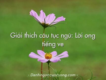 Giải thích câu tục ngữ: Lời ong tiếng ve