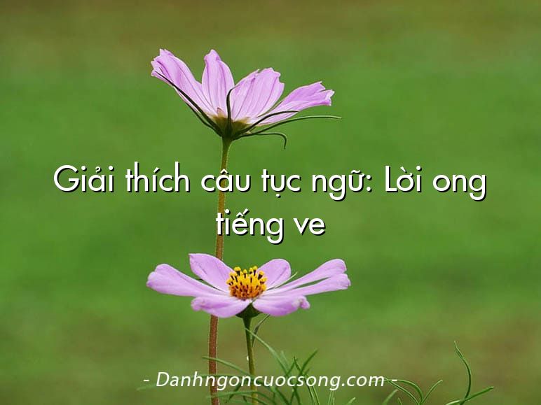 Giải thích câu tục ngữ: Lời ong tiếng ve