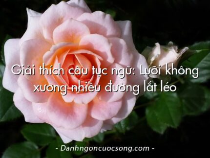 Giải thích câu tục ngữ: Lưỡi không xương nhiều đường lắt léo