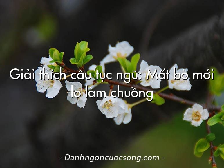 Giải thích câu tục ngữ: Mất bò mới lo làm chuồng