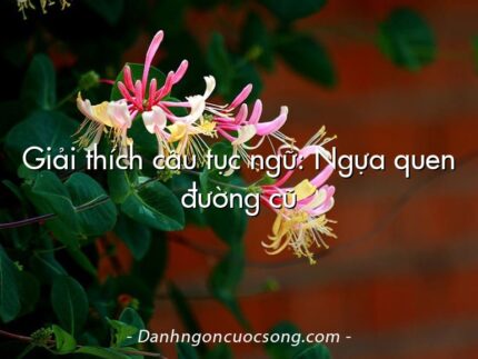 Giải thích câu tục ngữ: Ngựa quen đường cũ