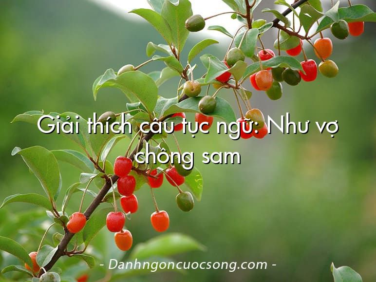 Giải thích câu tục ngữ: Như vợ chồng sam