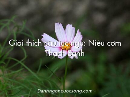 Giải thích câu tục ngữ: Niêu cơm Thạch Sanh
