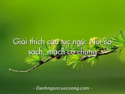 Giải thích câu tục ngữ: Nói có sách, mách có chứng