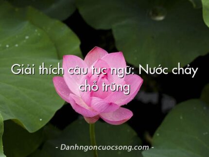 Giải thích câu tục ngữ: Nước chảy chỗ trũng