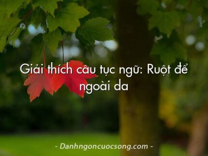 Giải thích câu tục ngữ: Ruột để ngoài da