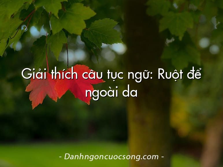 Giải thích câu tục ngữ: Ruột để ngoài da