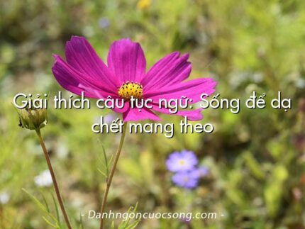 Giải thích câu tục ngữ: Sống để dạ chết mang theo