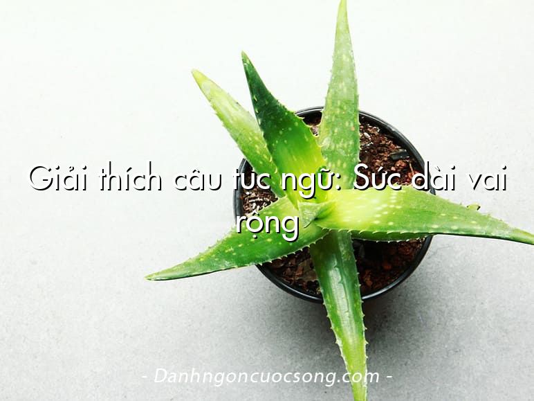 Giải thích câu tục ngữ: Sức dài vai rộng