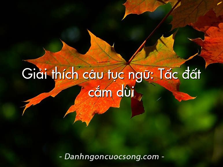 Giải thích câu tục ngữ: Tấc đất cắm dùi