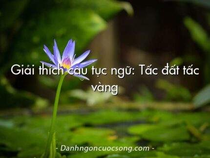 Giải thích câu tục ngữ: Tấc đất tấc vàng
