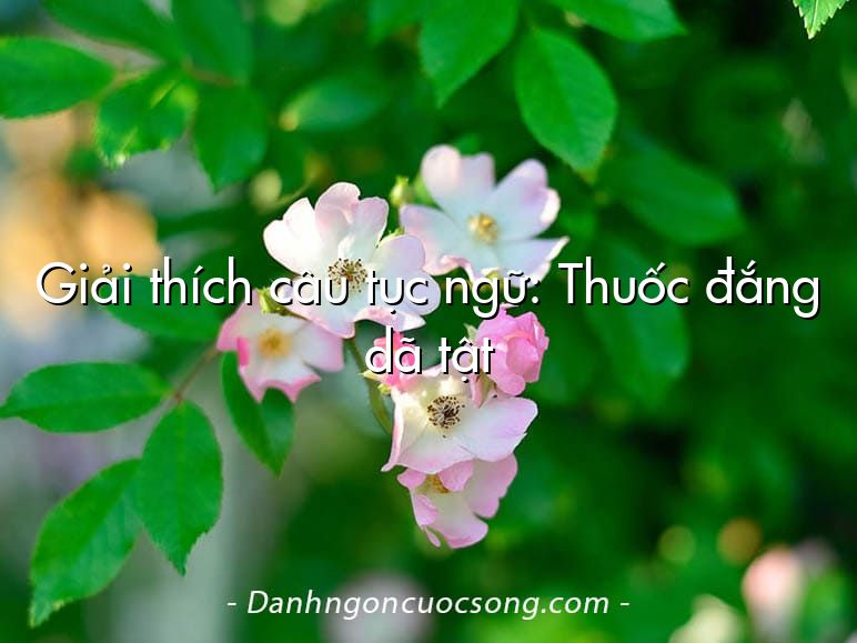 Giải thích câu tục ngữ: Thuốc đắng dã tật